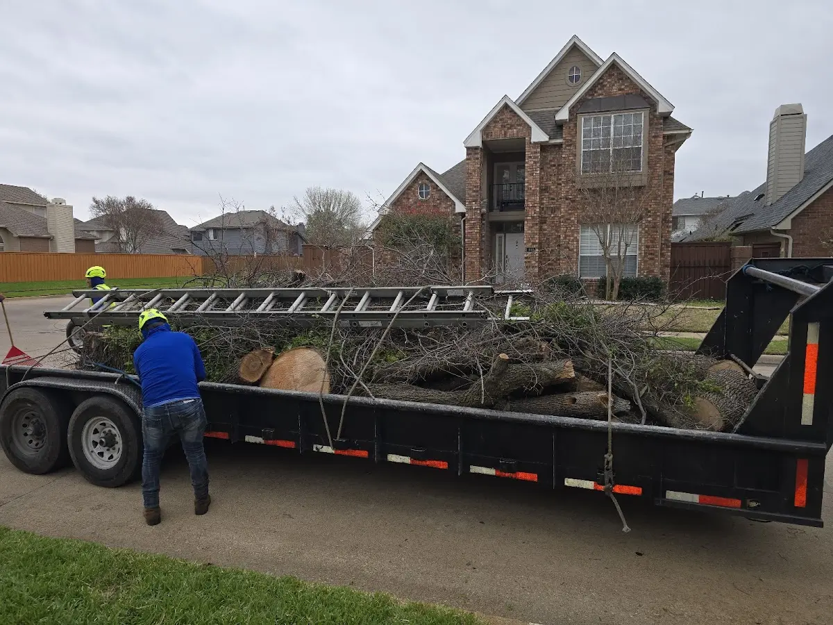 Expert Lot Clearing with proper safety equipment in Lisbon Falls